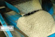 جزییات اعلام قیمت نهایی برنج از زبان رئیس کمیسیون کشاورزی مجلس