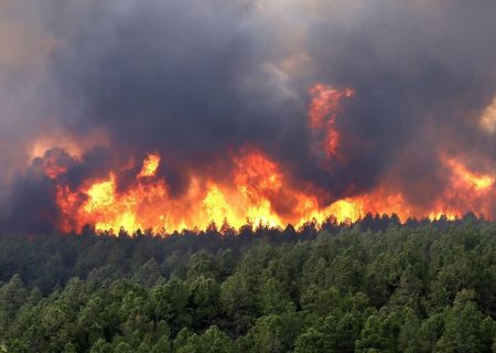 آتشسوزی در جنگل‌های چالوس همچنان ادامه دارد