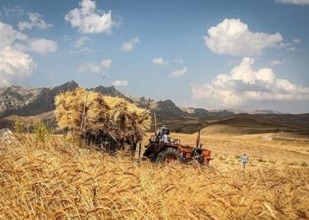 پیشرفت‌های حاصل‌شده در بیمه گندمکاران