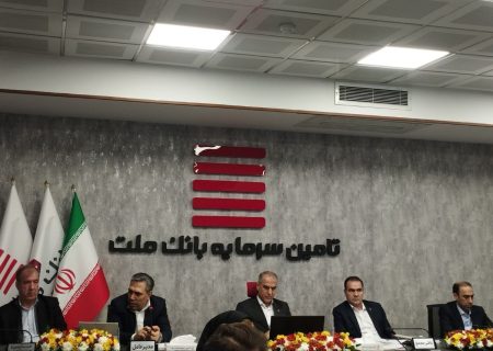رشد 50 درصدی سود تامین سرمایه ملت