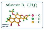 آفلاتوکسین سم خاموش در مغزها و خشکبار
