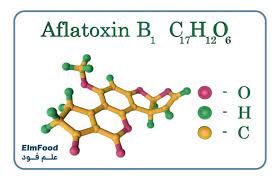 آفلاتوکسین سم خاموش در مغزها و خشکبار