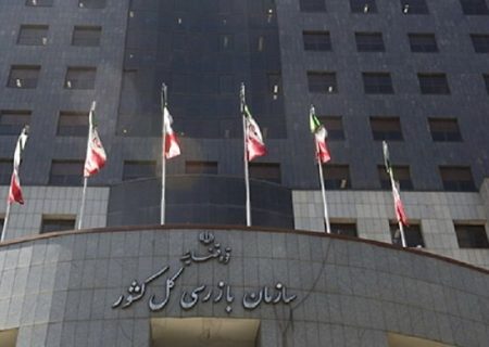 بازگشت ۸۷۶ همت به بیت‌المال با اقدامات نظارتی سازمان بازرسی
