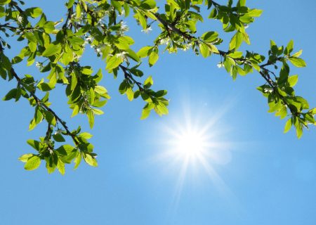 افزایش تدریجی دما در اغلب مناطق