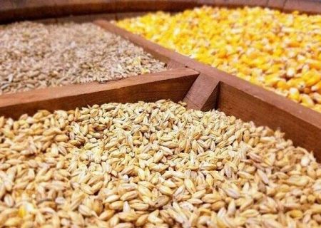 افزایش نیاز به محصولات پروتئینی/ واردات ذرت و سویا کاهش نمی‌یابد
