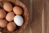 اصلاح قیمت تخم‌مرغ/ صنعت مرغداری در آستانه هشدار