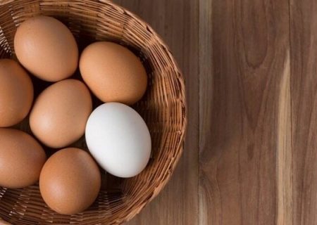 اصلاح قیمت تخم‌مرغ/ صنعت مرغداری در آستانه هشدار