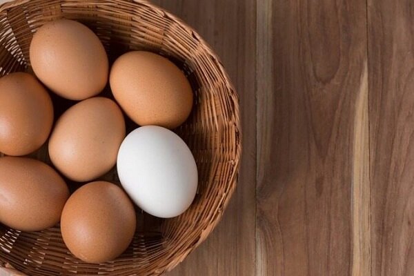 اصلاح قیمت تخم‌مرغ/ صنعت مرغداری در آستانه هشدار
