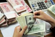 باید فرق میان فروش با تخصیص ارز روشن شود