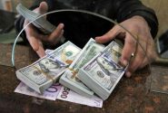 کاهش نرخ ارز در بازار رسمی؛ دلار و یورو پایین آمدند