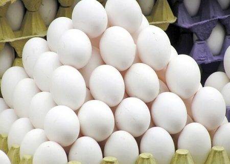 زیان سنگین مرغداران با مازاد تخم‌مرغ و بلاتکلیفی نرخ