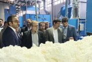 بانک‌ها نباید بنگاه داری کنند