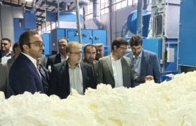بانک‌ها نباید بنگاه داری کنند
