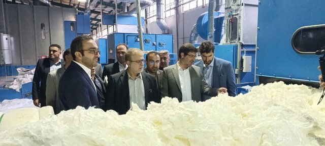 بانک‌ها نباید بنگاه داری کنند