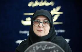 مذاکرات رفع تحریم‌ها در جریان است/ دولت به دنبال گزینه وزارت اقتصاد