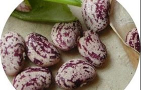 حباب ۳۰۰ هزار تومانی حبوبات در بازار