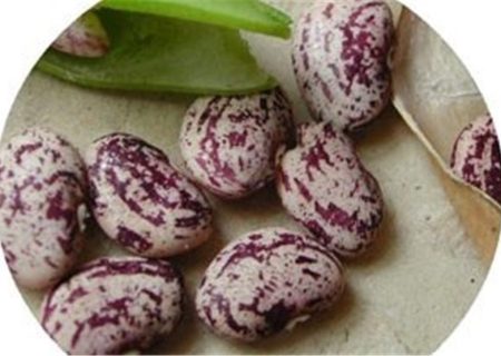 حباب ۳۰۰ هزار تومانی حبوبات در بازار