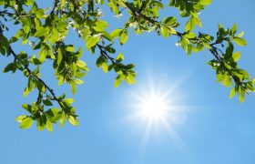 دریای خزر و خلیج فارس مواج/ تهران با وزش باد و دمای ۳۵ درجه