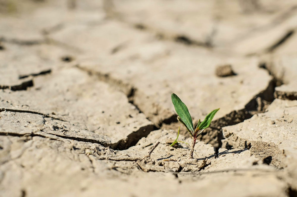 از شیرین‌سازی آب دریا تا اصلاح الگوی کشت