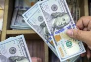 تمهیدات جدید برای رفع تعهد ارزی دریافت کنندگان ارز ترجیحی 28500 تومانی