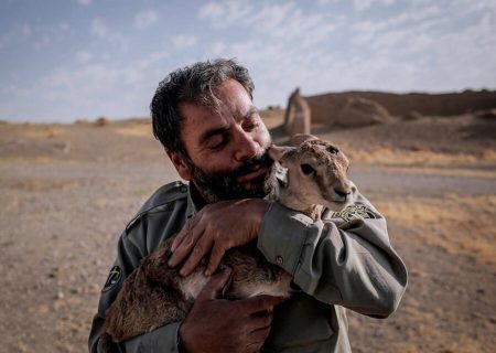 تصویب لایحه استفاده از سلاح برای محیط‌بانان