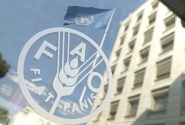 احیای جایگاه ایران در فائو پس از ۱۵ سال محرومیت
