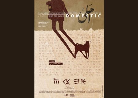 «اهلی» در چهار جشنواره جهانی