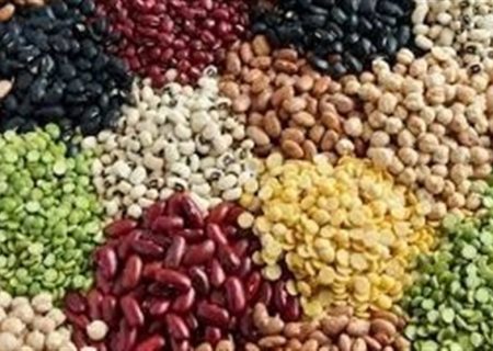 چرا تورم حبوبات از ۶۰درصد عبور کرد؟/ ارز ترجیحی برای پالم و شکلات، ارز توافقی برای حبوبات