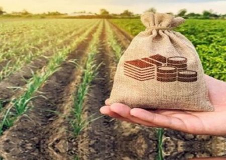 تعیین ۶۳۵ هزار تومان حق بیمه گندم‌زار از هر کیلوگرم گندم