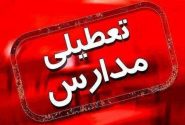 مدارس ابتدایی تهران سه‌شنبه و چهارشنبه مجازی شد