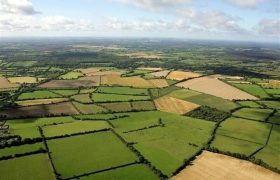 حدود ۲ هزار متر مربع از اراضی متصرفی بابل آزاد شد