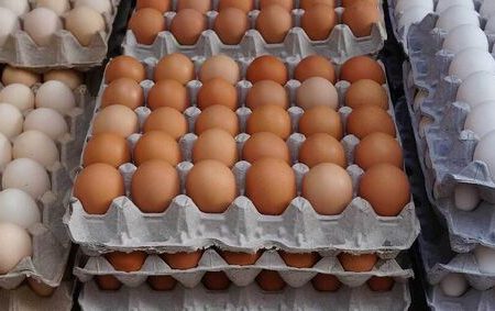 قیمت هر شانه تخم مرغ به ۲۵۰ هزارتومان رسید| کمبودی در عرضه تخم مرغ نداریم