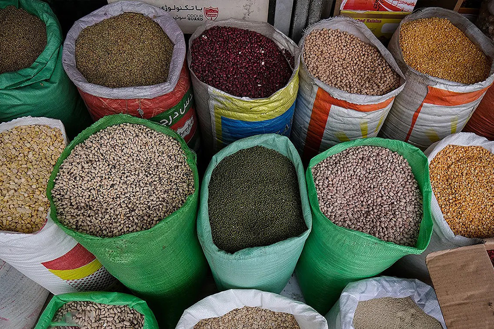 افزایش ۳ برابری قیمت حبوبات از مزرعه تا مغازه
