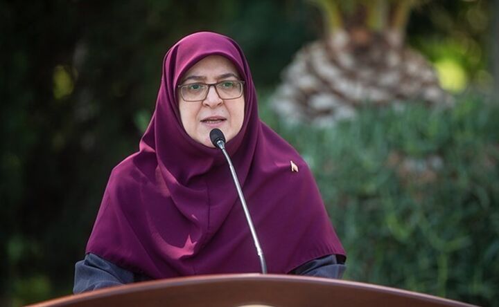 سخنگوی دولت: قیمتها به ثبات می رسد