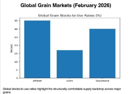 بازارهای جهانی غلات بر سر دوراهی؛ فراوانی، رقابت و توهم ثبات