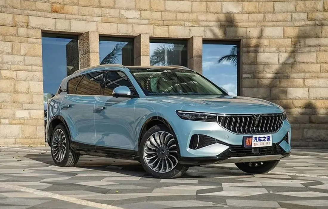 وویا فری در بازار چه قیمتی دارد؟