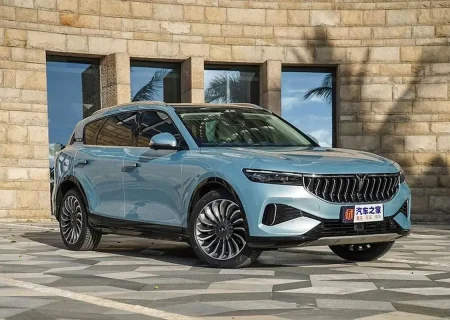 وویا فری در بازار چه قیمتی دارد؟